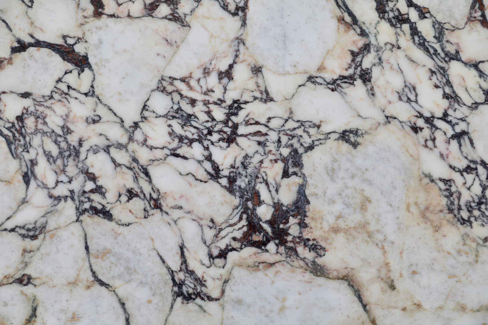 Breccia Viola